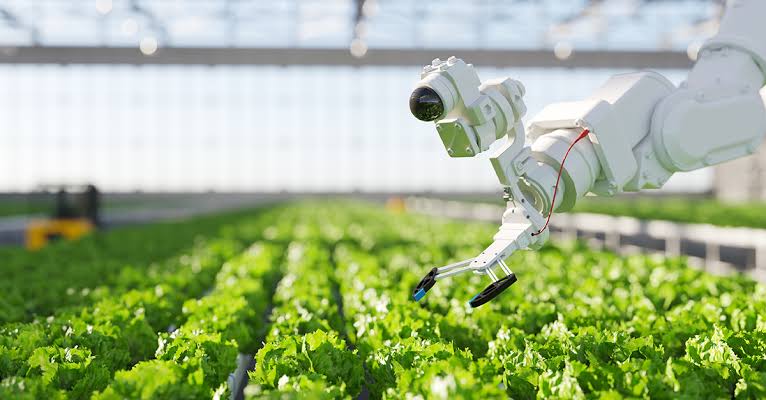 Farms and Foods: AI’s Revolutionary Impact on Agro and Food Production – Case Studies from Switzerland, US, and Nigeria